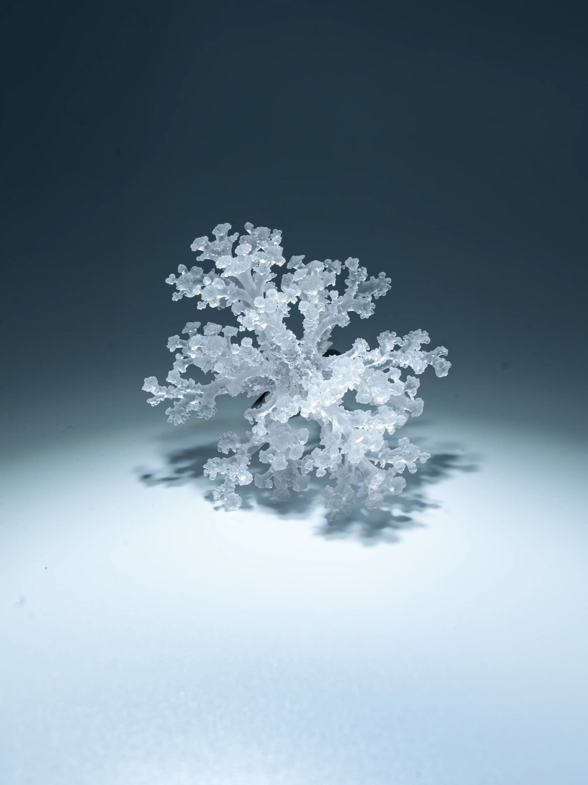 Coral Snowflake Ring – Sculptural 3D-Printed Jewelry | MIIIIIJA
