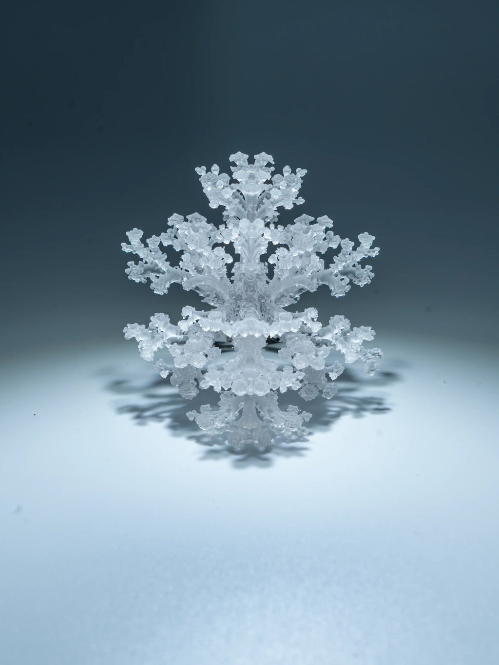 Coral Snowflake Ring – Sculptural 3D-Printed Jewelry | MIIIIIJA