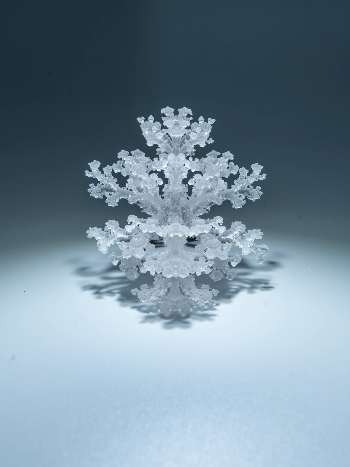 Coral Snowflake Ring – Sculptural 3D-Printed Jewelry | MIIIIIJA